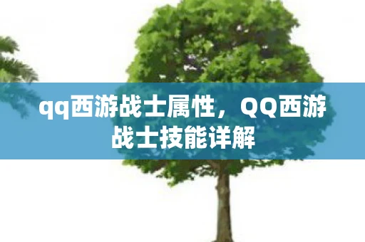 qq西游战士属性,QQ西游战士技能详解 qq西游战士属性,QQ西游战士技能详解