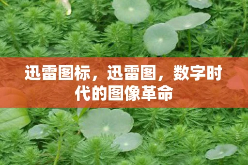 迅雷图标，迅雷图，数字时代的图像革命