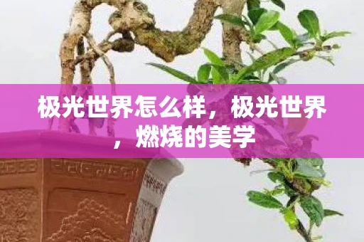极光世界怎么样,极光世界,燃烧的美学 极光世界怎么样,极光世界,燃烧的美学