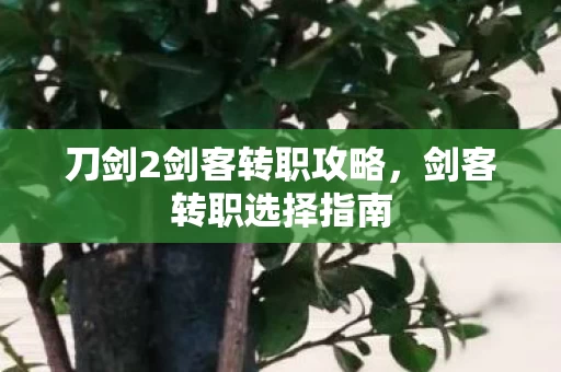 刀剑2剑客转职攻略图片