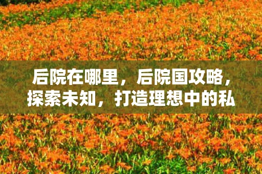 后院在哪里,后院国攻略,探索未知,打造理想中的私人王国 后院在哪里,后院国攻略,探索未知,打造理想中的私人王国