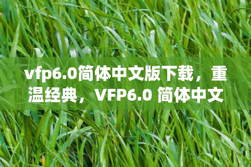 vfp6.0简体中文版下载，重温经典，VFP6.0 简体中文版的使用与体验