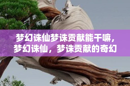 梦幻诛仙梦诛贡献能干嘛，梦幻诛仙，梦诛贡献的奇幻之旅