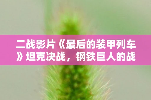二战影片《最后的装甲列车》坦克决战，钢铁巨人的战场较量