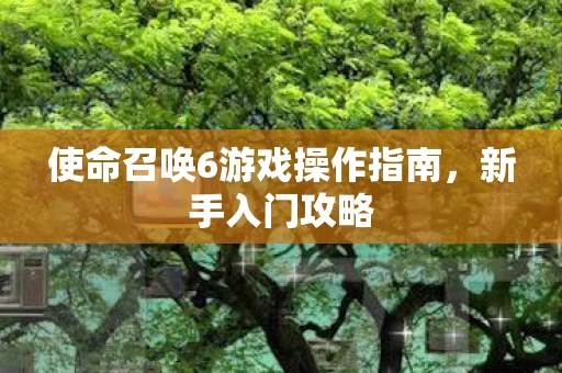 使命召唤6游戏操作指南图片