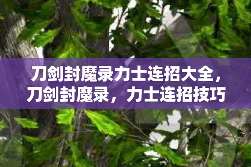 刀剑封魔录力士连招大全，刀剑封魔录，力士连招技巧解析