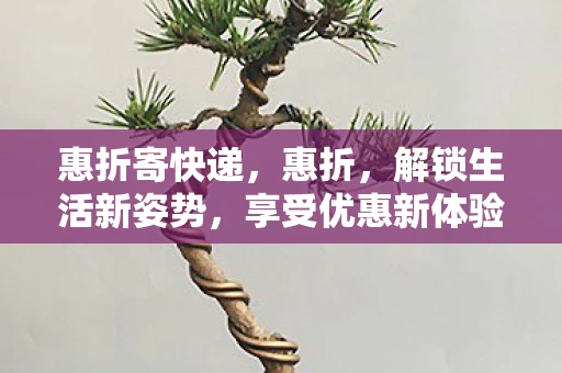 惠折寄快递，惠折，解锁生活新姿势，享受优惠新体验