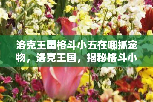 洛克王国格斗小五在哪抓宠物,洛克王国,揭秘格斗小五捕捉地点与技巧 洛克王国格斗小五在哪抓宠物,洛克王国,揭秘格斗小五捕捉地点与技巧