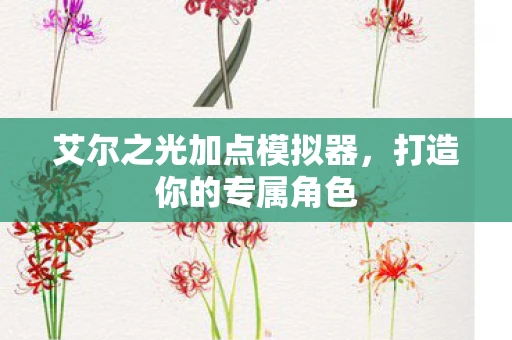 艾尔之光加点模拟器，打造你的专属角色