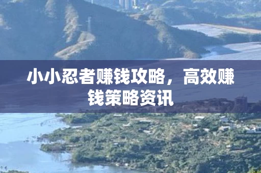 小小忍者赚钱攻略图片