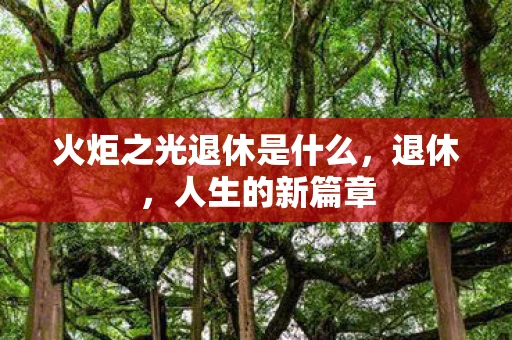 火炬之光退休是什么，退休，人生的新篇章