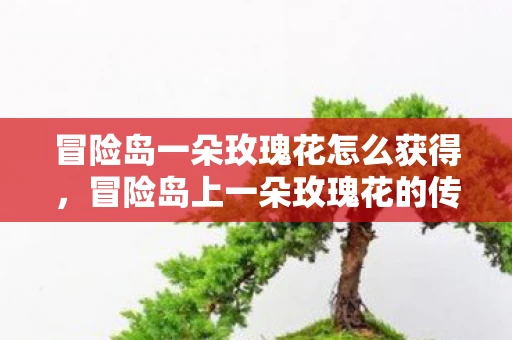 冒险岛一朵玫瑰花怎么获得，冒险岛上一朵玫瑰花的传奇