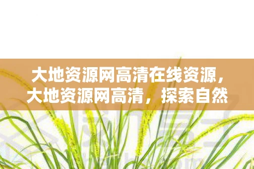 大地资源网高清在线资源，大地资源网高清，探索自然之美，领略地球奥秘