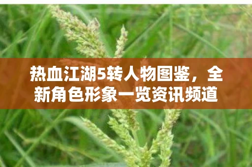 全新角色形象一览资讯频道图片