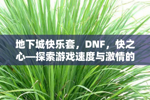 地下城快乐套，DNF，快之心—探索游戏速度与激情的极限