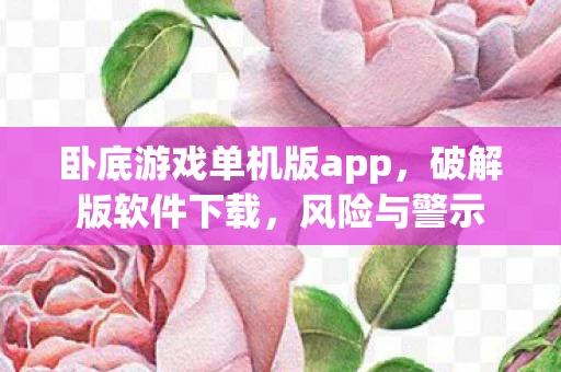 卧底游戏单机版app，破解版软件下载，风险与警示