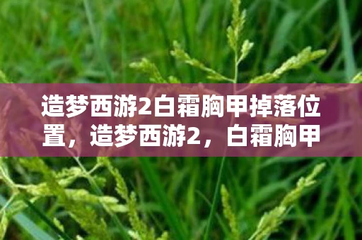 造梦西游2白霜胸甲掉落位置，造梦西游2，白霜胸甲的传奇之旅