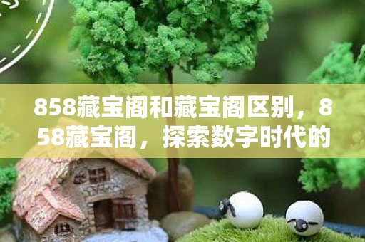 858藏宝阁和藏宝阁区别，858藏宝阁，探索数字时代的文化宝藏