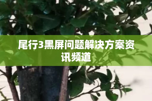 尾行3黑屏问题解决方案资讯频道图片