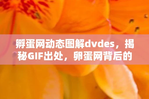 孵蛋网动态图解dvdes，揭秘GIF出处，卵蛋网背后的故事