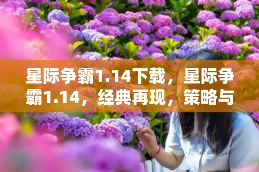 星际争霸1.14下载，星际争霸1.14，经典再现，策略与激情的碰撞