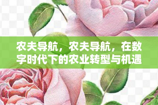 农夫导航，农夫导航，在数字时代下的农业转型与机遇