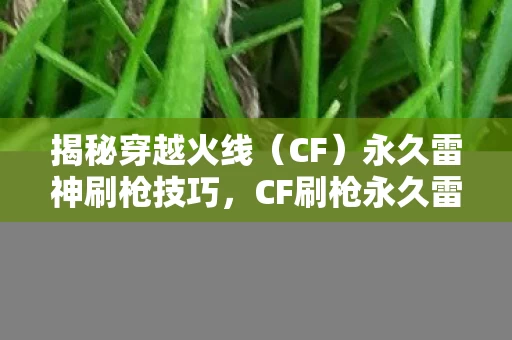 CF刷枪永久雷神策略揭秘图片