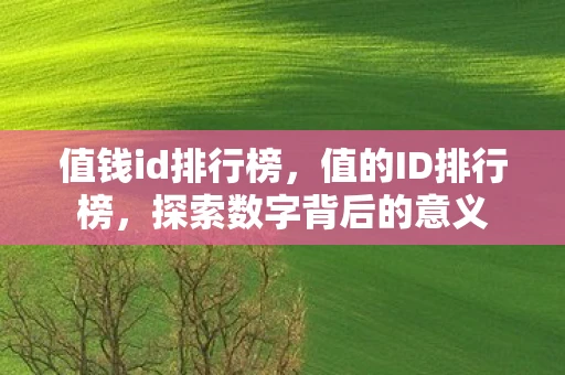值钱id排行榜,值的ID排行榜,探索数字背后的意义 值钱id排行榜,值的ID排行榜,探索数字背后的意义