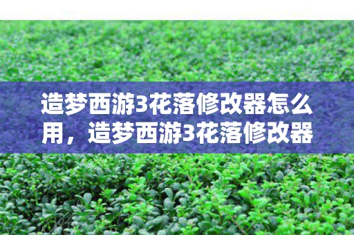 造梦西游3花落修改器怎么用，造梦西游3花落修改器，解锁无限可能的冒险之旅