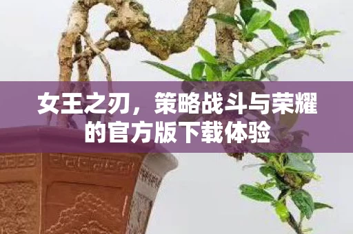 策略战斗与荣耀的官方版下载体验图片