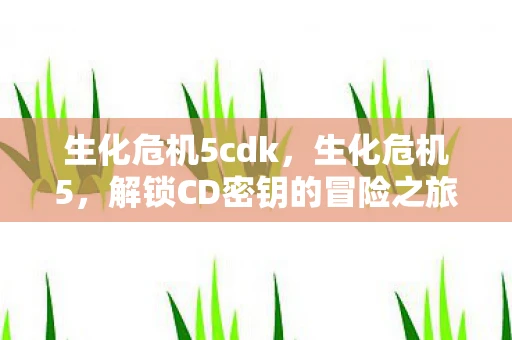 生化危机5cdk，生化危机5，解锁CD密钥的冒险之旅