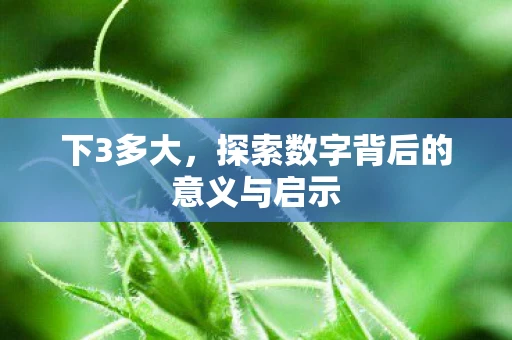 下3多大，探索数字背后的意义与启示