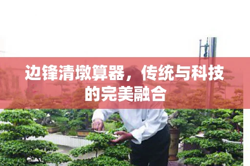 边锋清墩算器，传统与科技的完美融合