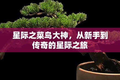 从新手到传奇的星际之旅图片