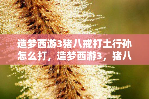 造梦西游3猪八戒打土行孙怎么打，造梦西游3，猪八戒如何击败土行孙