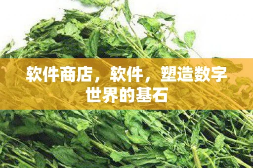 软件商店,软件,塑造数字世界的基石 软件商店,软件,塑造数字世界的基石