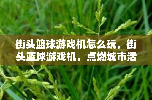街头篮球游戏机怎么玩，街头篮球游戏机，点燃城市活力的运动新风尚