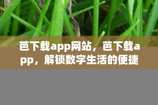 芭下载app网站,芭下载app,解锁数字生活的便捷钥匙 芭下载app网站,芭下载app,解锁数字生活的便捷钥匙