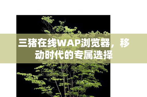 三猪在线WAP浏览器图片