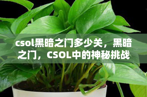 csol黑暗之门多少关，黑暗之门，CSOL中的神秘挑战