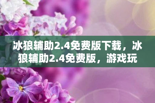 冰狼辅助2.4免费版下载，冰狼辅助2.4免费版，游戏玩家的福音？
