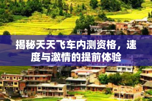揭秘天天飞车内测资格图片