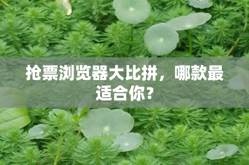 抢票浏览器大比拼，哪款最适合你？