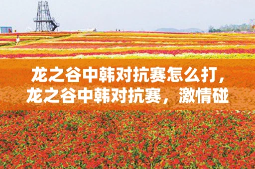 龙之谷中韩对抗赛怎么打，龙之谷中韩对抗赛，激情碰撞，荣耀之战