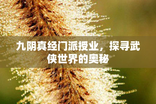 九阴真经门派授业，探寻武侠世界的奥秘