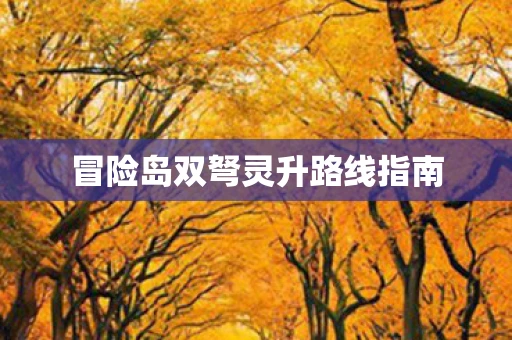 冒险岛双弩灵升路线指南