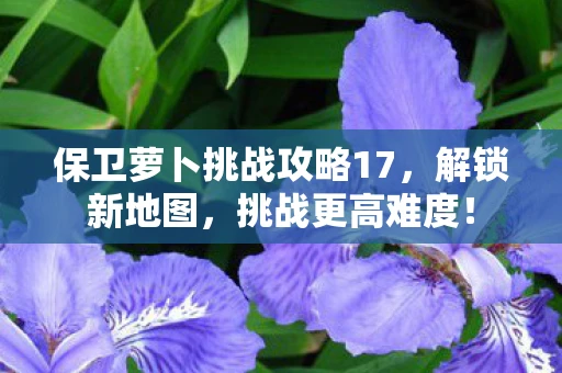 保卫萝卜挑战攻略17，解锁新地图，挑战更高难度！