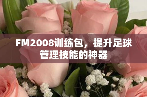 FM2008训练包，提升足球管理技能的神器