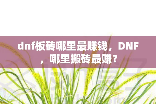 dnf板砖哪里最赚钱，DNF，哪里搬砖最赚？