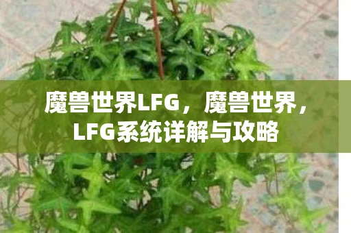 魔兽世界LFG，魔兽世界，LFG系统详解与攻略